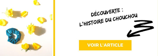 Découverte : L’histoire du Chouchou