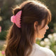 Pince Cheveux Cumulus Effet Marbré Rose