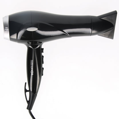 Sèche-cheveux Professionnel LinQ Noir Argent avec Embout Amovible